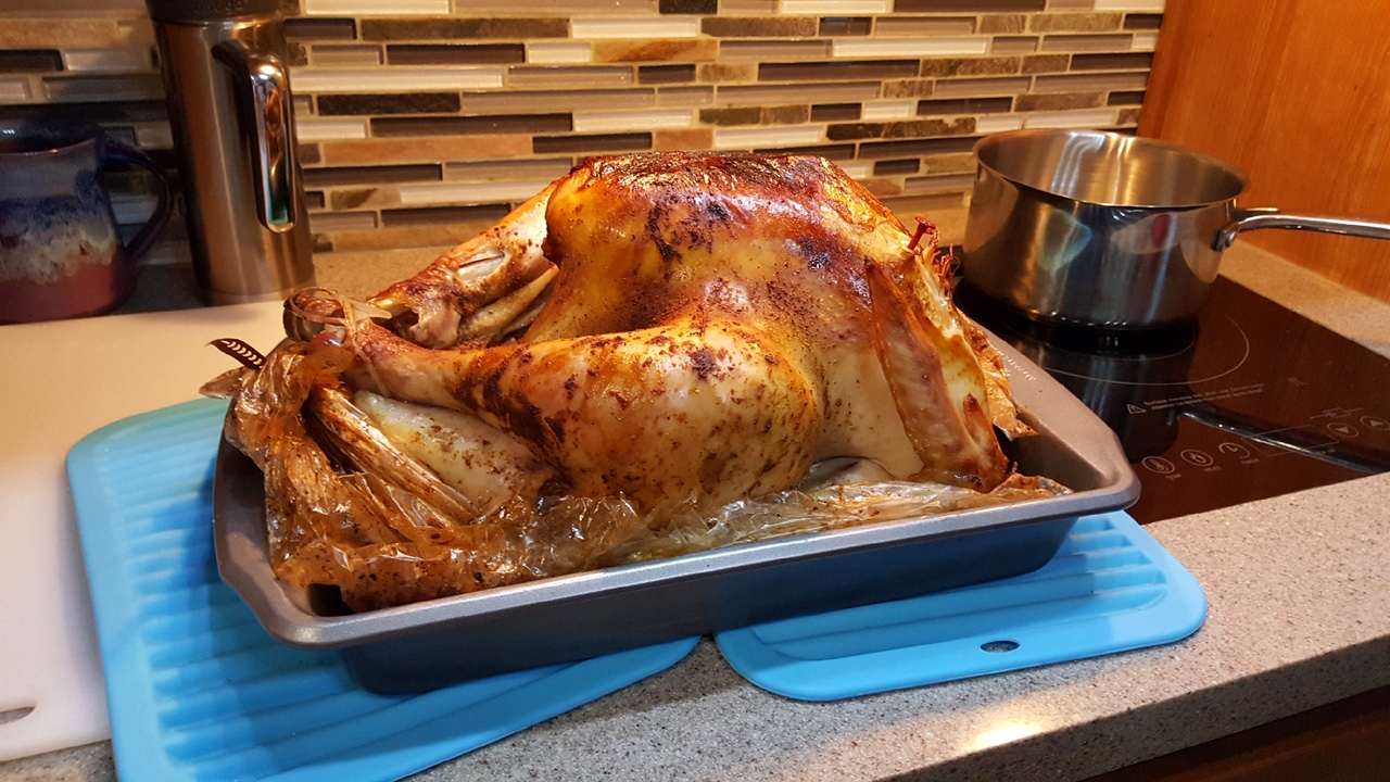 turkey in convection oven